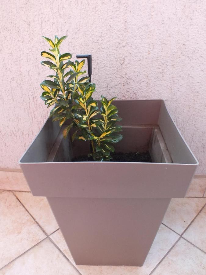 Apartment Temple Podgorica Buitenkant foto